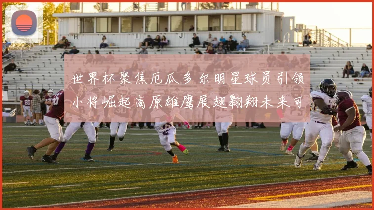 世界杯聚焦厄瓜多尔明星球员引领小将崛起高原雄鹰展翅翱翔未来可期