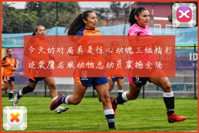 今天的对局真是惊心动魄三组精彩逆袭鹰龙狼动物总动员震撼全场